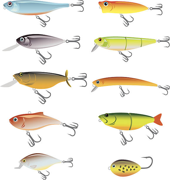 illustrazioni stock, clip art, cartoni animati e icone di tendenza di esca per la pesca - freshwater fishing