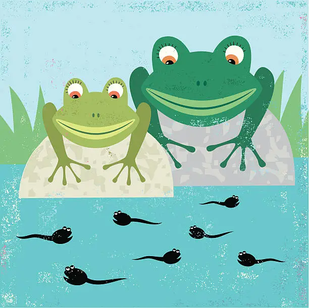 Vector illustration of Family of frogs