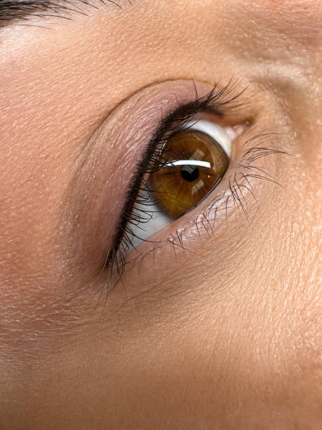 istock permanent make up , close up woman eye beautiful 1639184154
