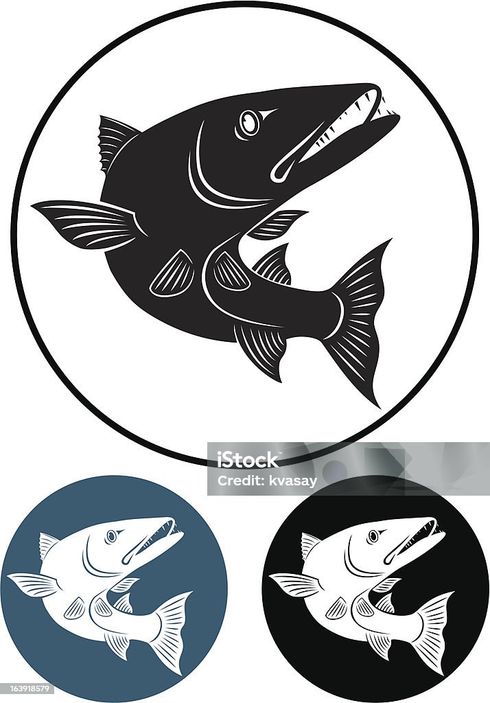 barracuda the figure shows the predatory fish Barracuda stock vector