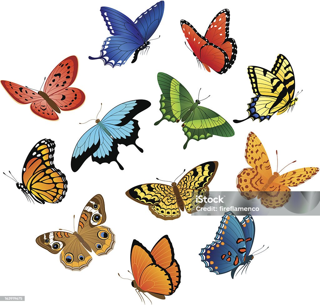 Volo di farfalle - arte vettoriale royalty-free di Farfalla