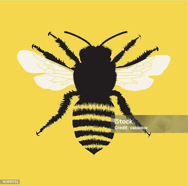 Biene Illustrationen Stock Vektor Art und mehr Bilder von Apis - Apis, Biene, Farbiger Hintergrund