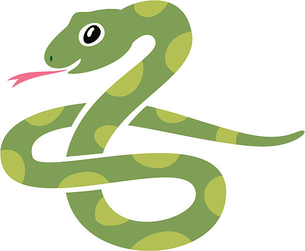 1,451 Snake Hiss Stock Photos, Pictures & Royalty-Free Images - iStock |  Snake tongue