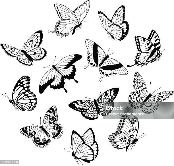 플라잉 블랙 인명별 나비 나비에 대한 스톡 벡터 아트 및 기타 이미지 - 나비, 흑백, 개체 그룹