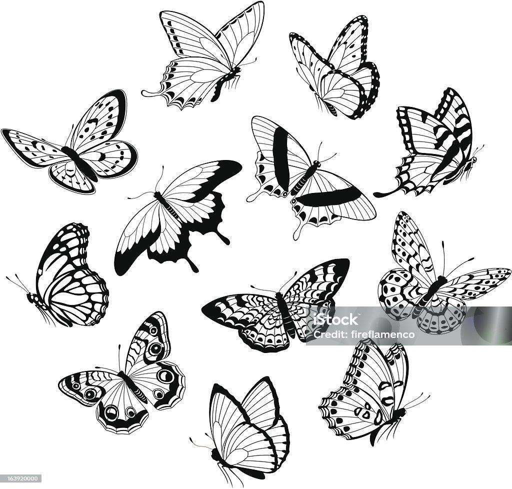 Flying Black White Butterflies Stock Illustration - Download Image Now -  Butterfly - Insect, Black And White, Animal - iStock