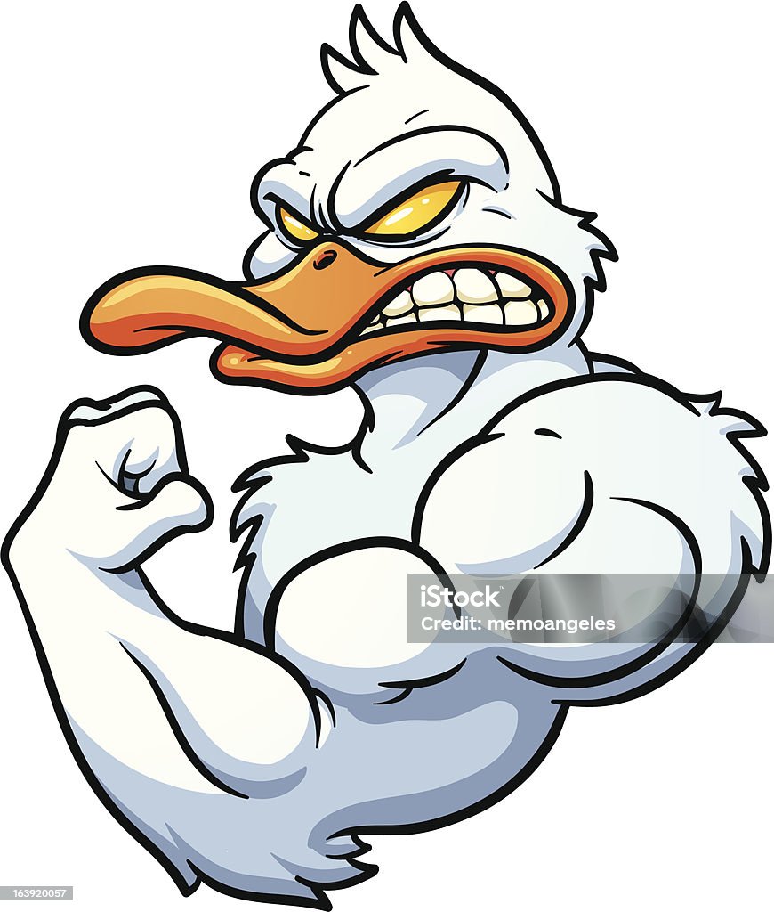 Strong duck Strong cartoon duck mascot. Vector illustration with simple gradients. All in a single layer. Duck - Bird stock vector