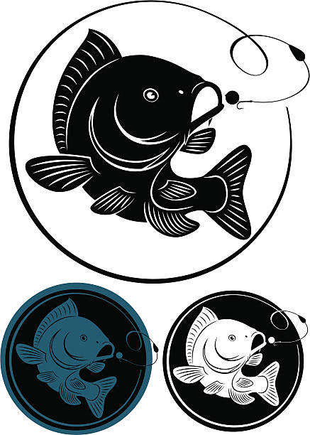 ilustraciones, imágenes clip art, dibujos animados e iconos de stock de pescados de la carpa - minnow