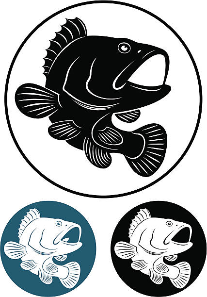 grupperfisch - minnow stock-grafiken, -clipart, -cartoons und -symbole