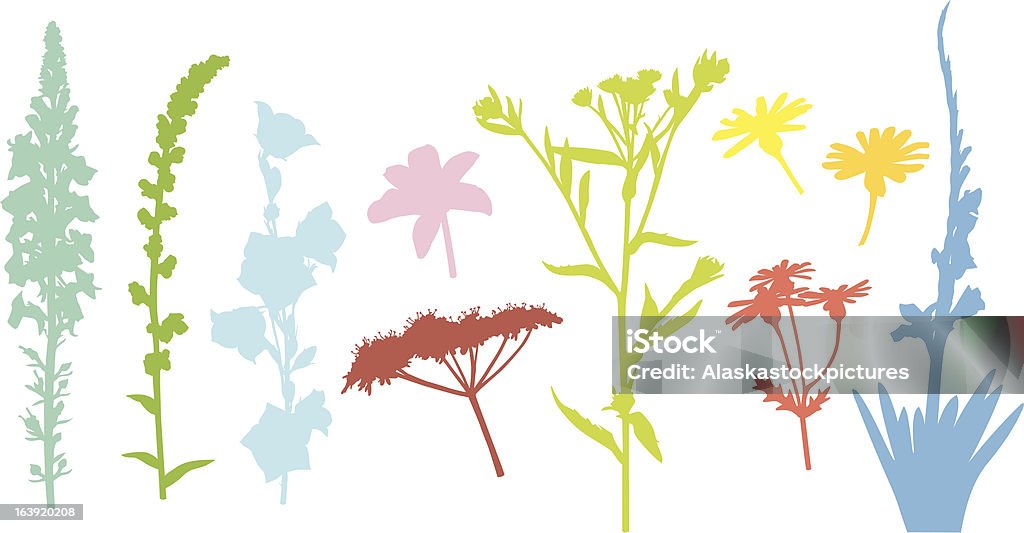 Plant and Flowershapes XXIV Botany stock vector