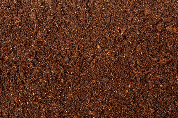 istock close up soil peat moss dirty background 1639205008