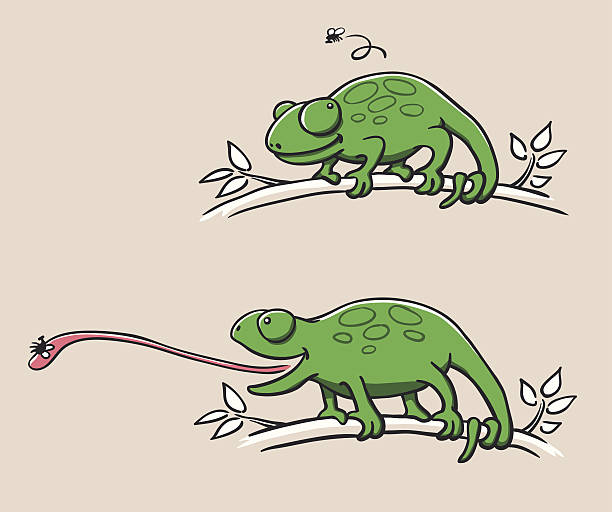 Hunting Chameleon vector art illustration