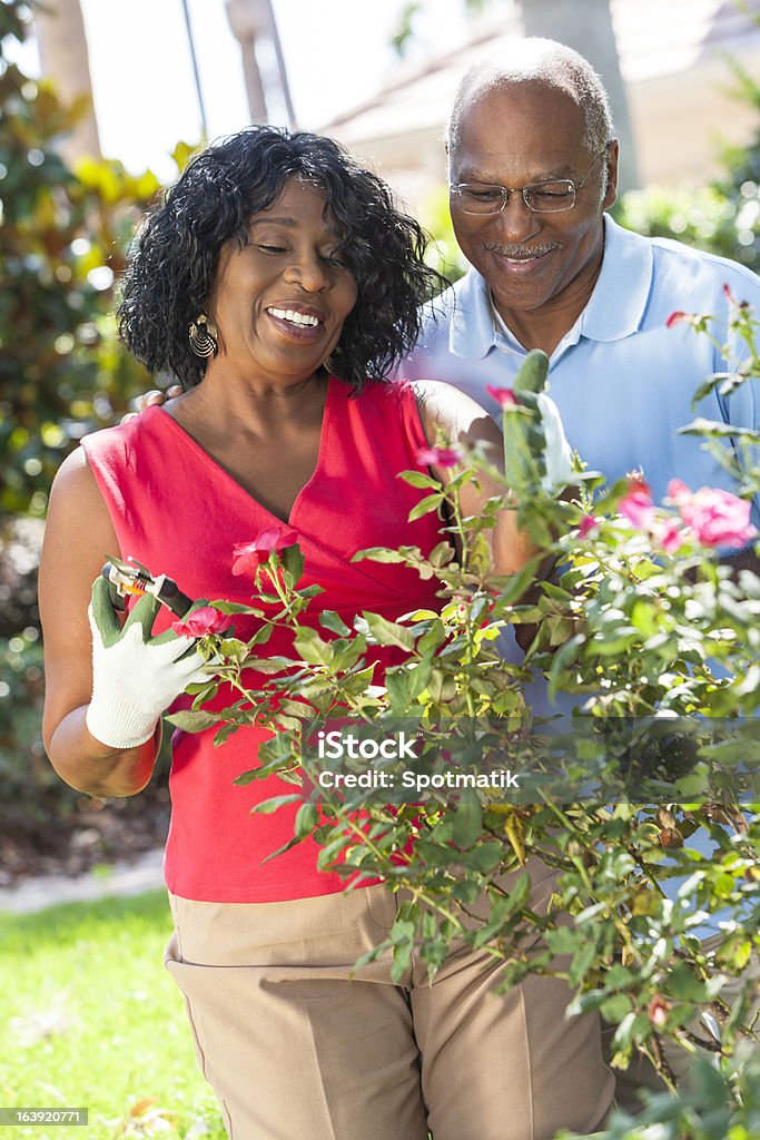Senior afrikanischen amerikanischen Mann Frau paar Gartenarbeit - Lizenzfrei Alter Erwachsener Stock-Foto