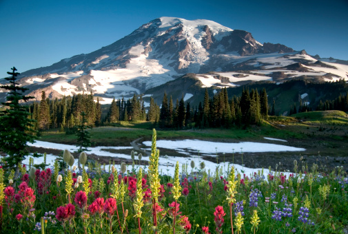 Canada's top tourist destinations. Alpine Lake on Sproatt Mountain with Black Tusk in the background.