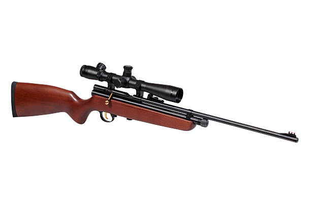 istock Air rifle with riflescope 163923096