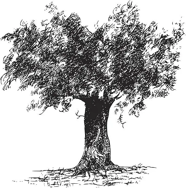 Vector illustration of A black and white picture of an olive tree