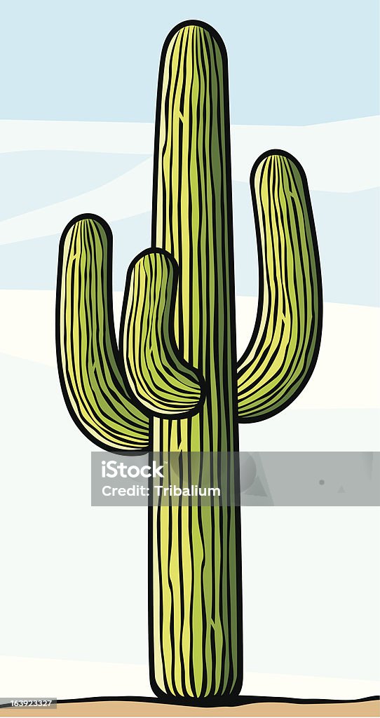 cactus cactus vector Cactus stock vector