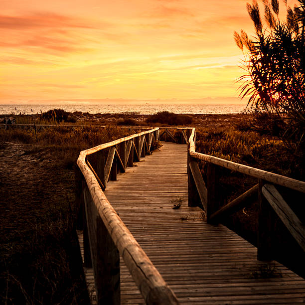 istock Walkway to the Sea Sunset 163924857