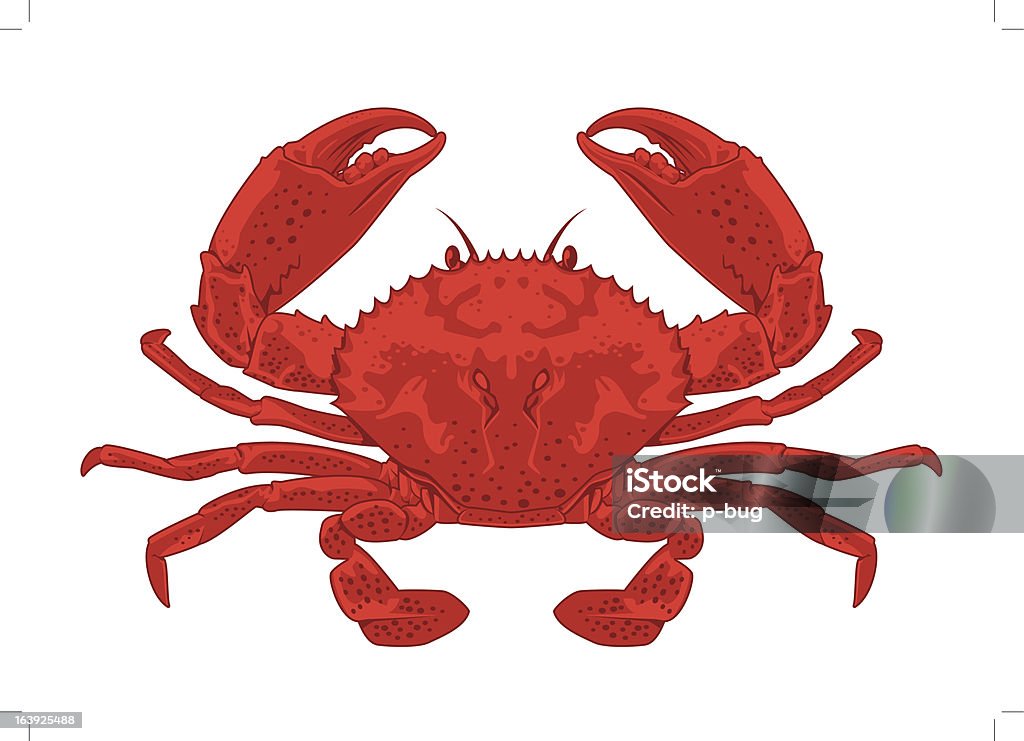 Czerwony Crab - Grafika wektorowa royalty-free (Grafika wektorowa)