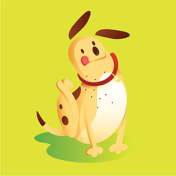 illustrazioni stock, clip art, cartoni animati e icone di tendenza di cane graffiare - tick dog flea pets