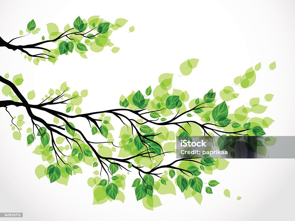 Ramo con foglie verdi - arte vettoriale royalty-free di Albero