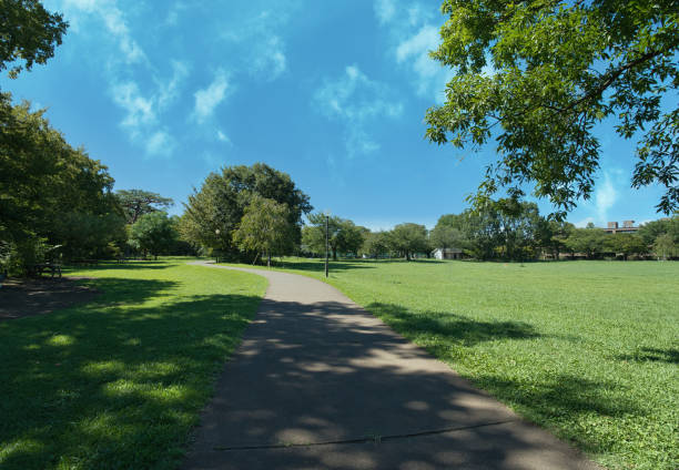 istock A park full of blue sky and grass 1639258741