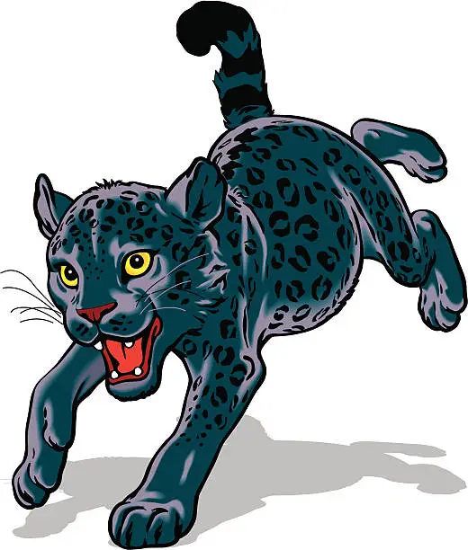Vector illustration of Baby panther