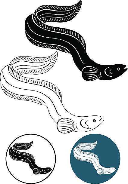 węgorz - fish sea life sea animals hunting stock illustrations