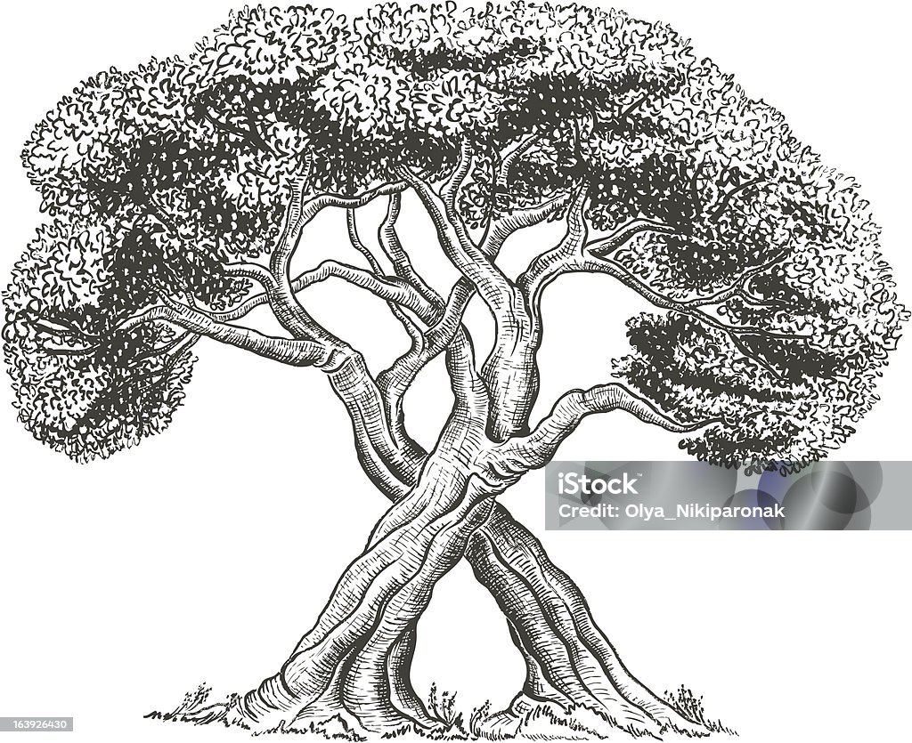 Hand drawn trees Branch - Plant Part stock vector