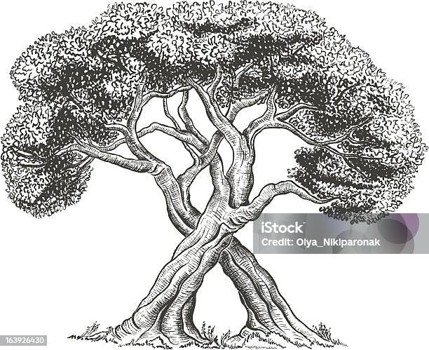 Hand Drawn Trees Stock Illustration - Download Image Now - Branch - Plant Part, Cut Out, Design