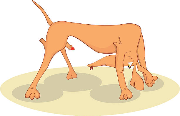 Dog Stock Illustration - Download Image Now - Animal, Animal Behavior, Animals Mating - iStock Dog Stock Illustration - Download Image Now - Animal, Animal Behavior, Animals Mating - iStock