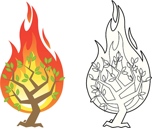 Burning Bush Vector Illustration Stock Illustration - Download Image Now -  Moses - Religious Figure, Bush, Burning - iStock