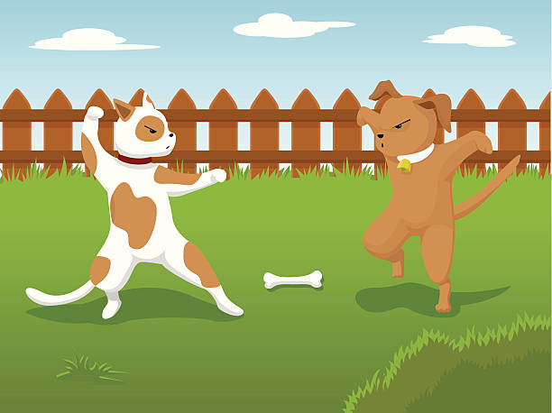 Dog Fight vector illustration of two dogs fighting over a bone in the backyard paved yard stock illustrations