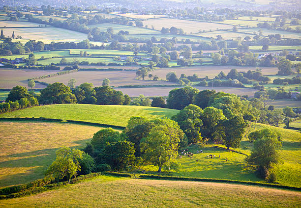 Panoramic view of the idyllic plains of Cotswolds, UK Idyllic rural view of gently rolling patchwork farmland and villages with pretty wooded boundaries, in the beautiful surroundings of the Cotswolds, England, UK. patchwork landscape stock pictures, royalty-free photos & images