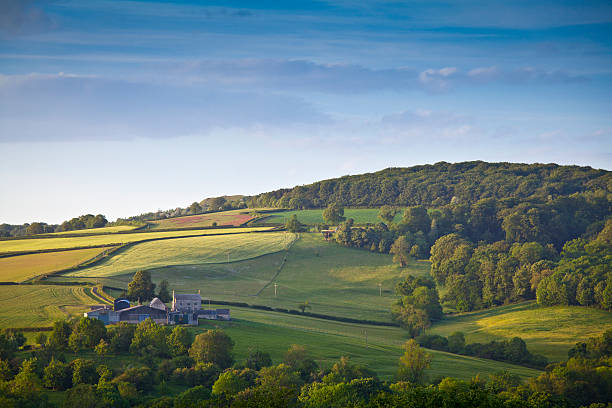 istock Idyllic rural farm, Cotswolds UK 163929760