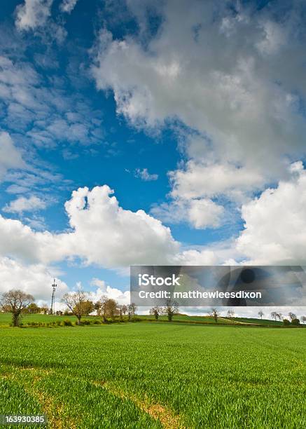 Ländliche Idylle Cotswolds Uk Stockfoto und mehr Bilder von Agrarbetrieb - Agrarbetrieb, Anhöhe, Bauernhaus