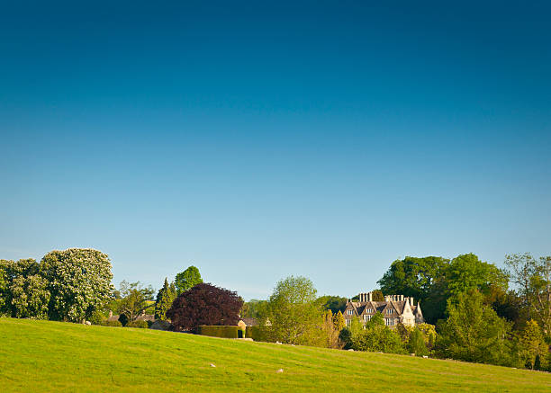 istock Vibrant idyllic farmland 163930423