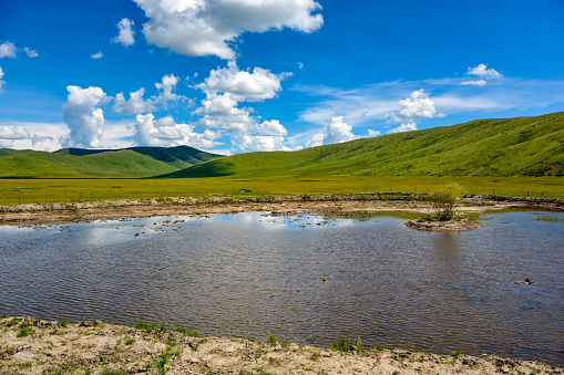 Inner Mongolia, China - East Asia, Agricultural Field, Meadow, Asia,prairie