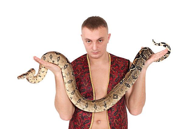 istock Portrait of man with boa snake 163934897