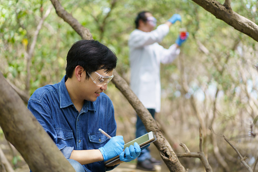 Professional Asian ecologist or scientist team examining environment and ecology system in tropical jungle area. Ecologist notes a study report on tablet and laptop computer.