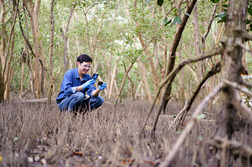 Professional Asian ecologist or scientist team examining environment and ecology system in tropical jungle area. Ecologist notes a study report on tablet and laptop computer.