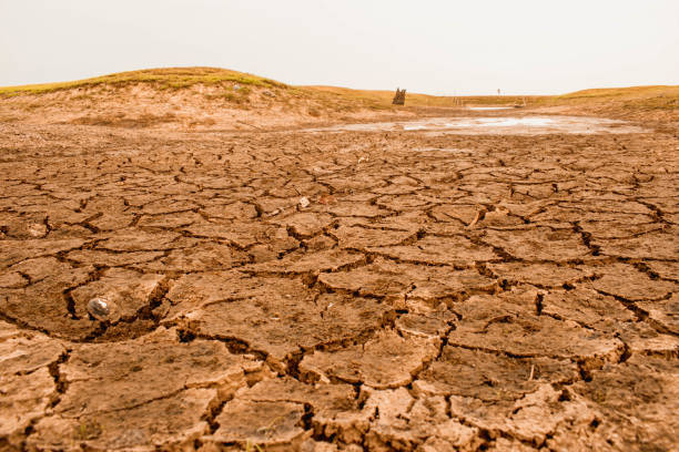 istock Dry and cracked land 1639391582