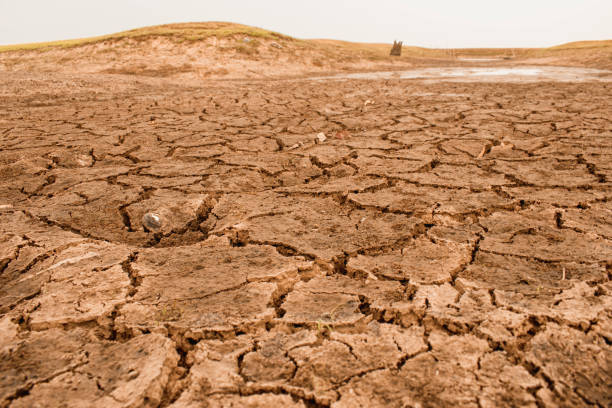 istock Dry and cracked land 1639391583