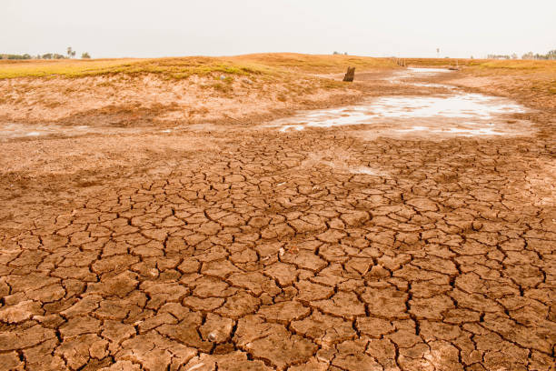 istock Dry and cracked land 1639392627