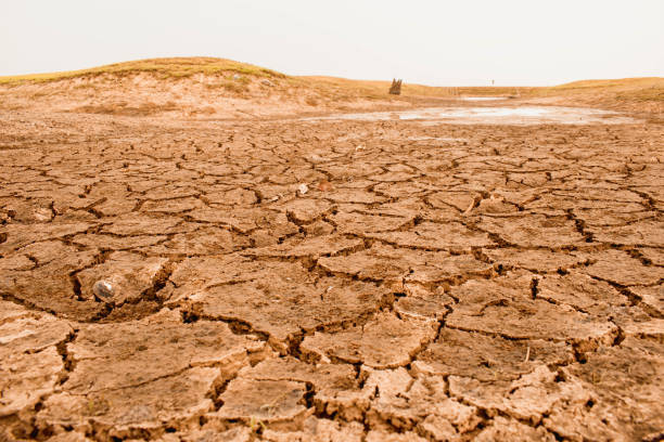istock Dry and cracked land 1639392628