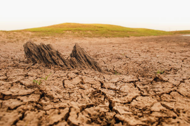 istock Dry and cracked land 1639393173