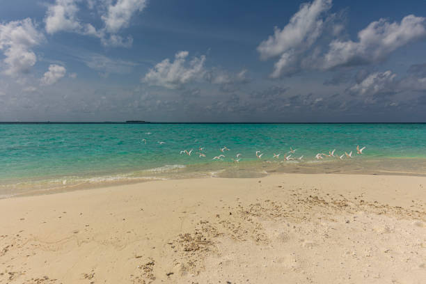 istock Holiday whith beach and blue sky 1639393771