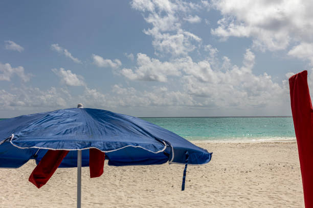 Beach umbrellas stand together for tourists at a clean and quiet sandy beach with blue sky background.