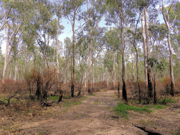 istock Lower Moira, Victoria, Australia 1639395815