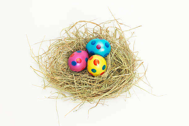 Nest full of colorful Easter Eggs from above stock photo