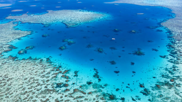 istock Aerial views of Duncan Reef, GBR, Australia 1639403336